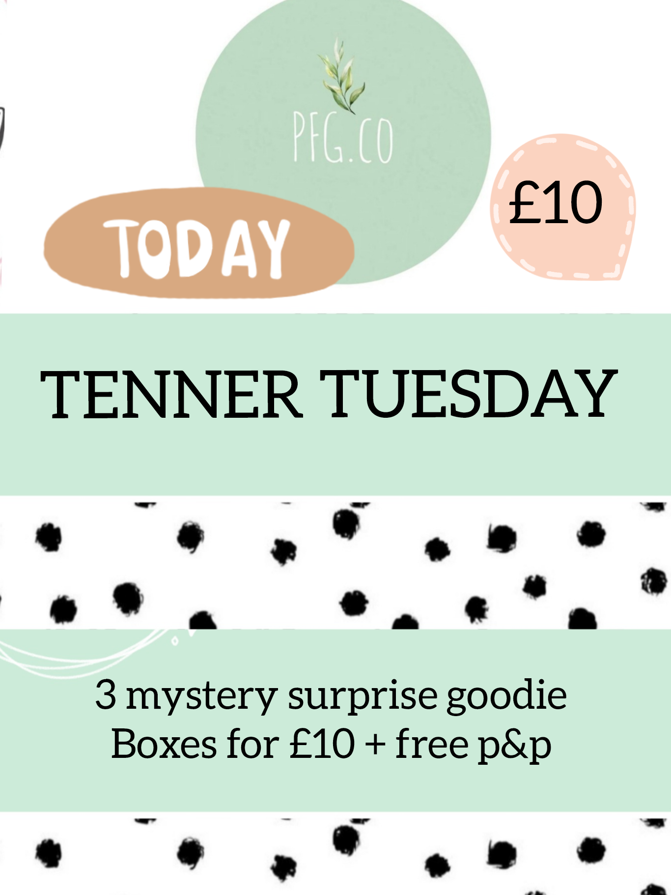 Tenner Tuesday mystery box