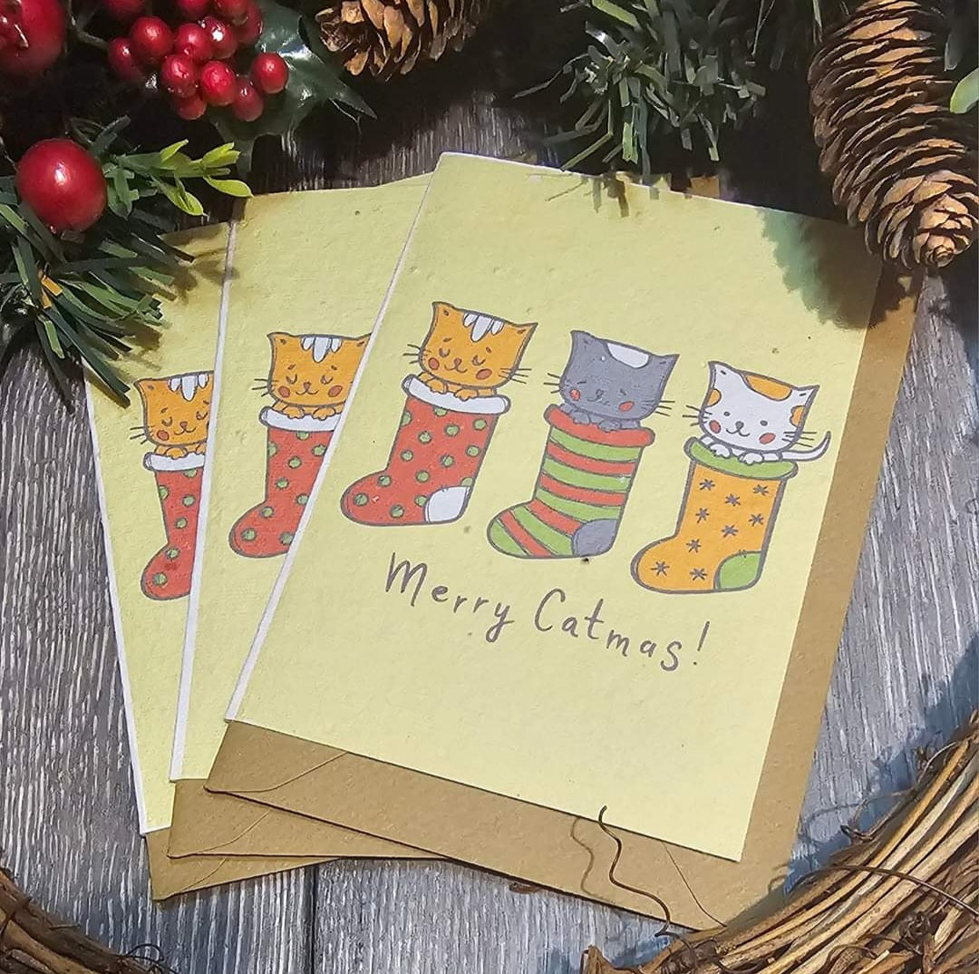 Cat wildflower seed Christmas cards