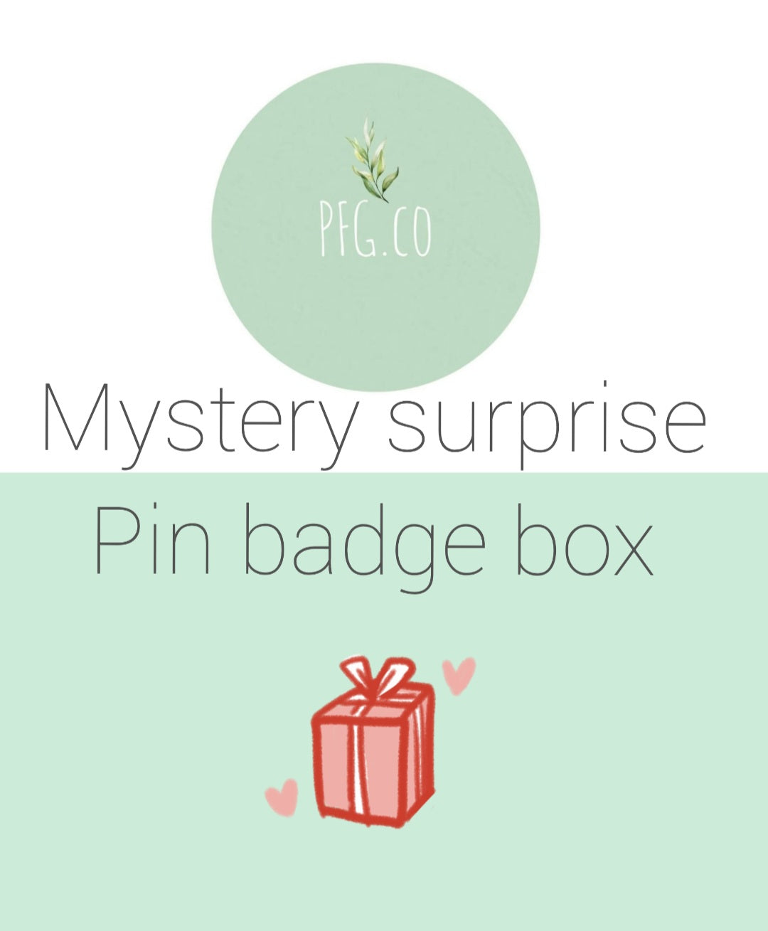Mystery surprise pin badges box