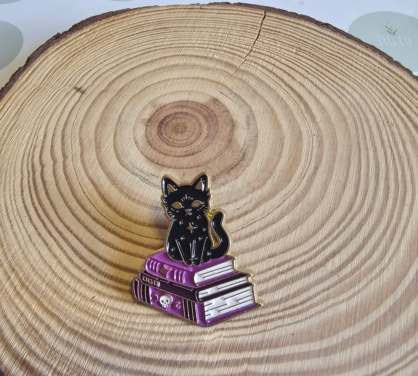 Black cat & books pin badge