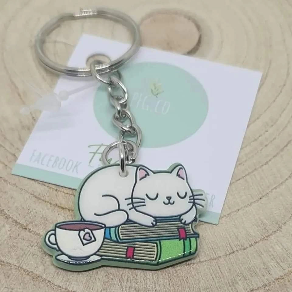 Cat on book's key rings